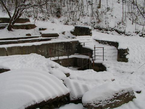 IMGP3204web