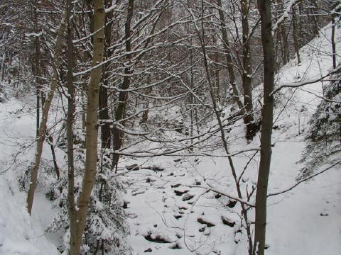 IMGP3218web