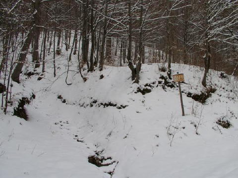 IMGP3225web
