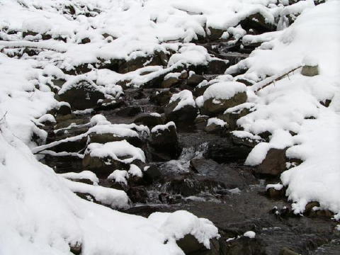 IMGP3249web