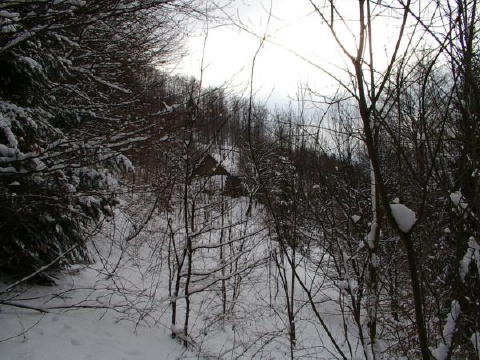 IMGP3252web