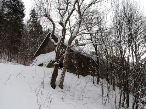 IMGP3254web