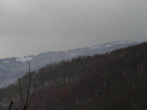 IMGP3256web