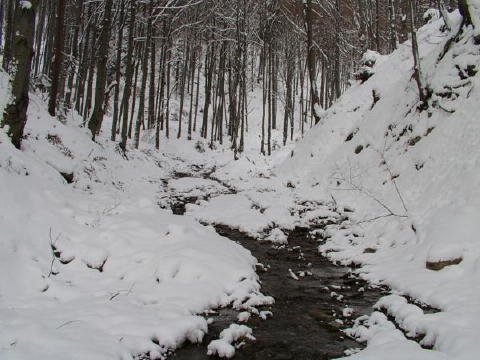 IMGP3272web