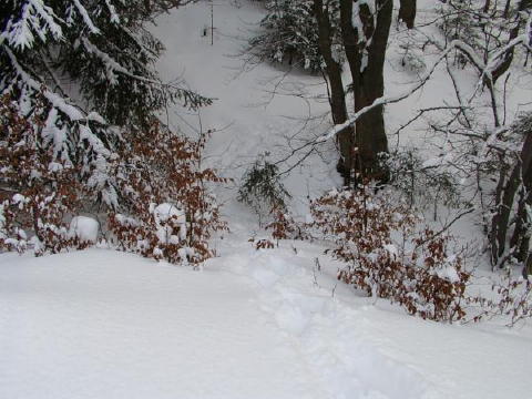 IMGP3303web