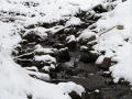 IMGP3249web