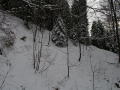 IMGP3250web