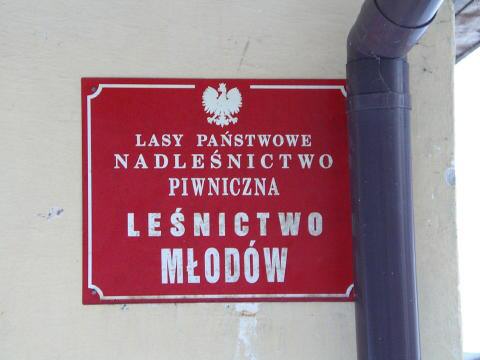 IMGP3537