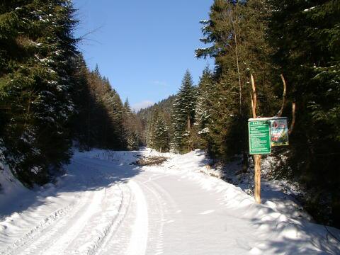 IMGP3070