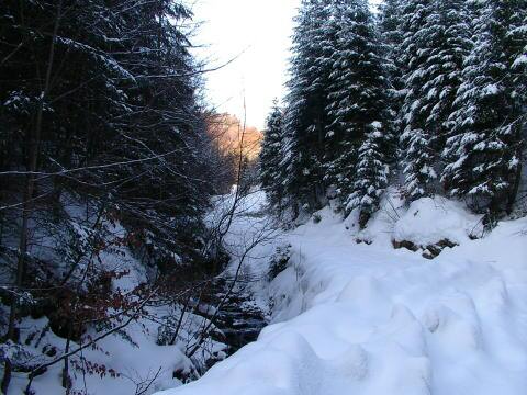 IMGP3122