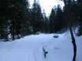 IMGP3113