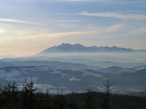 IMGP7404